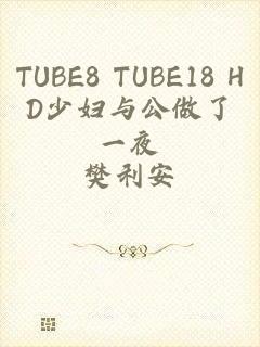 TUBE8 TUBE18 HD少妇与公做了一夜